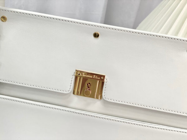 Dior Parisienne Bag