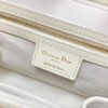 Dior Parisienne Bag