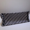 Dior Book Tote