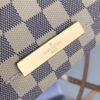 Louis Vuitton Favorite MM