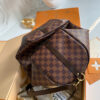 Louis Vuitton Speedy 35