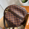 Louis Vuitton Speedy 35