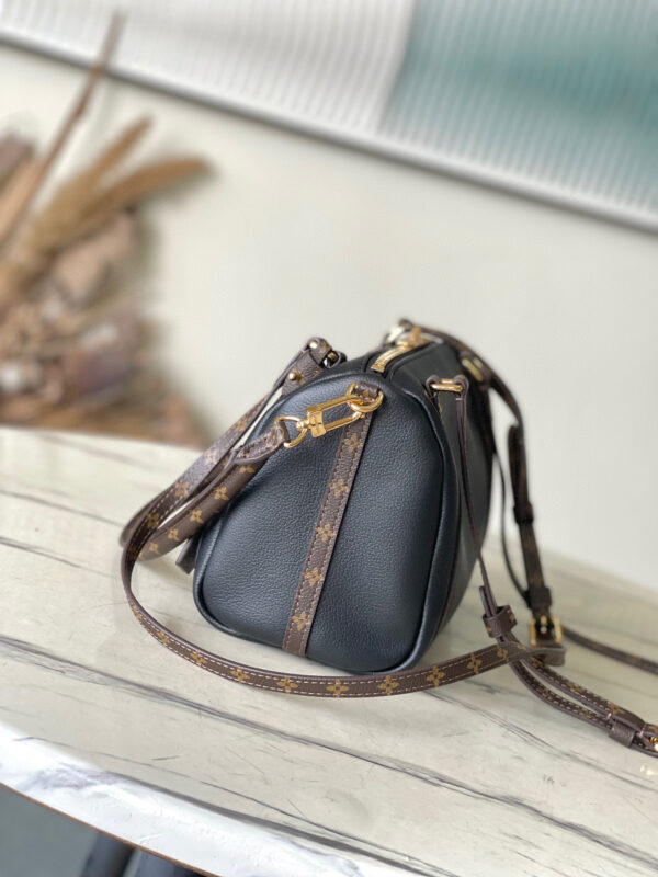 Louis Vuitton Express PM