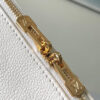 Louis Vuitton Express PM