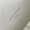 Louis Vuitton Express PM