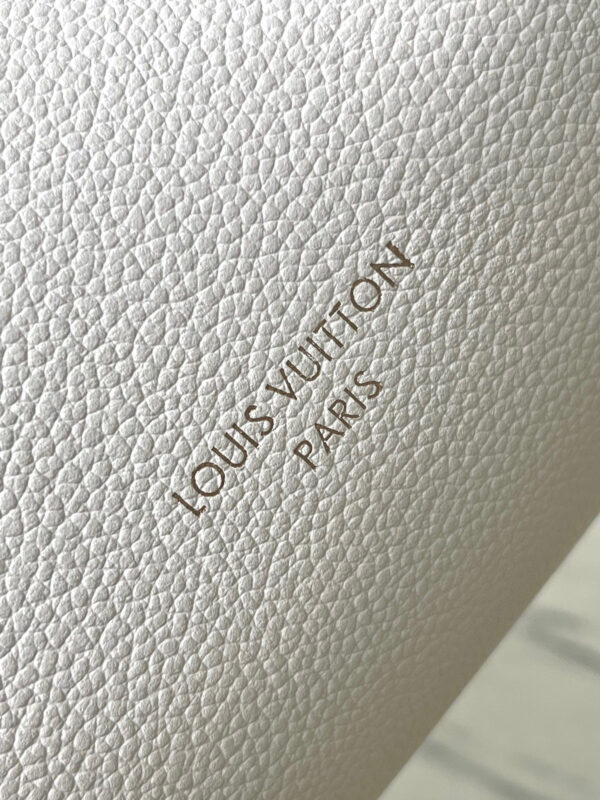 Louis Vuitton Express PM