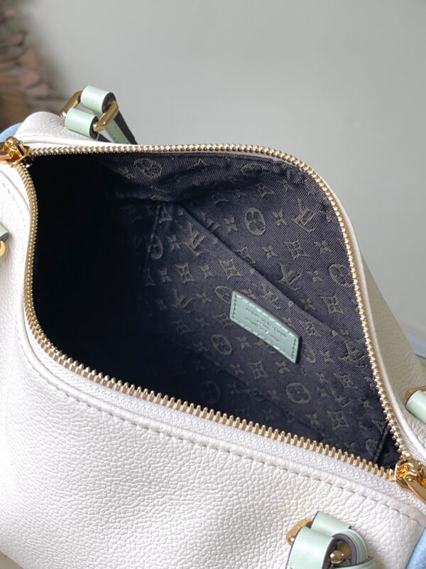 Louis Vuitton Express PM