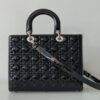 Lady Dior Large