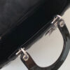 Lady Dior Large