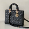 Lady Dior Large