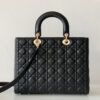 Lady Dior Large