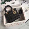 Lady Dior