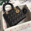 Lady Dior