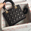 Lady Dior