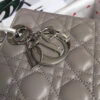 Lady Dior