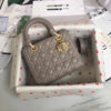 Lady Dior