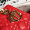 Lady Dior