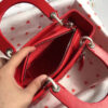 Lady Dior