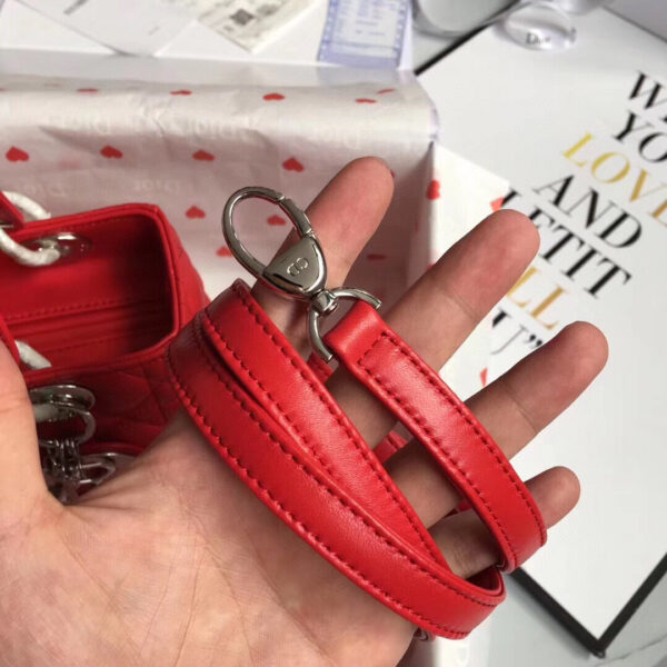 Lady Dior