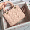 Lady Dior