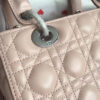 Lady Dior