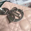 Lady Dior