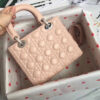 Lady Dior