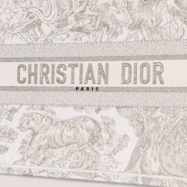 Dior Book Tote