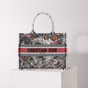 Dior Book Tote