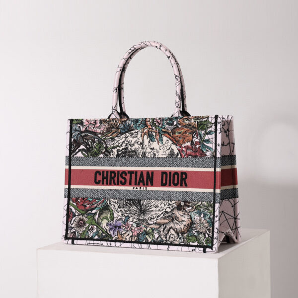 Dior Book Tote