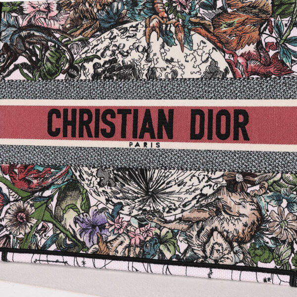 Dior Book Tote