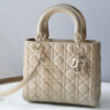 Lady Dior