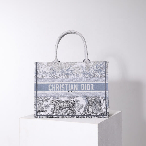 Dior Book Tote