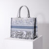 Dior Book Tote