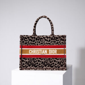 Dior Book Tote