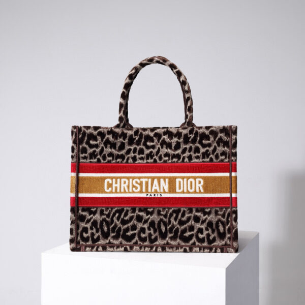 Dior Book Tote