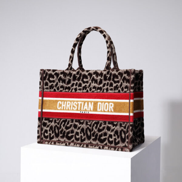 Dior Book Tote