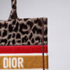 Dior Book Tote