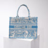 Dior Book Tote