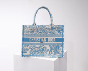 Dior Book Tote