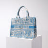 Dior Book Tote