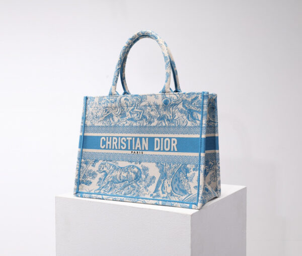 Dior Book Tote