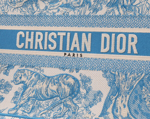Dior Book Tote