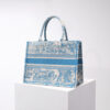 Dior Book Tote