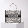 Dior Book Tote
