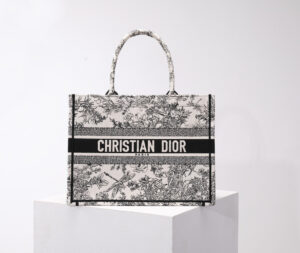 Dior Book Tote