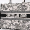 Dior Book Tote