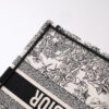 Dior Book Tote