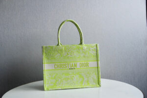 Dior Book Tote