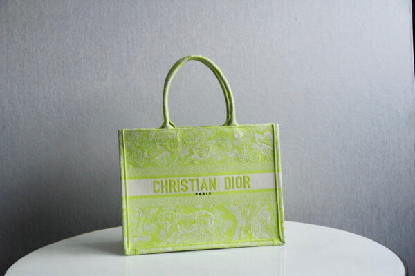 Dior Book Tote